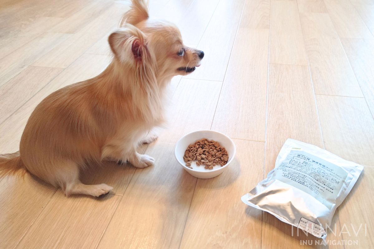 吉岡油糧　フレーク粒を食べる愛犬 (3)